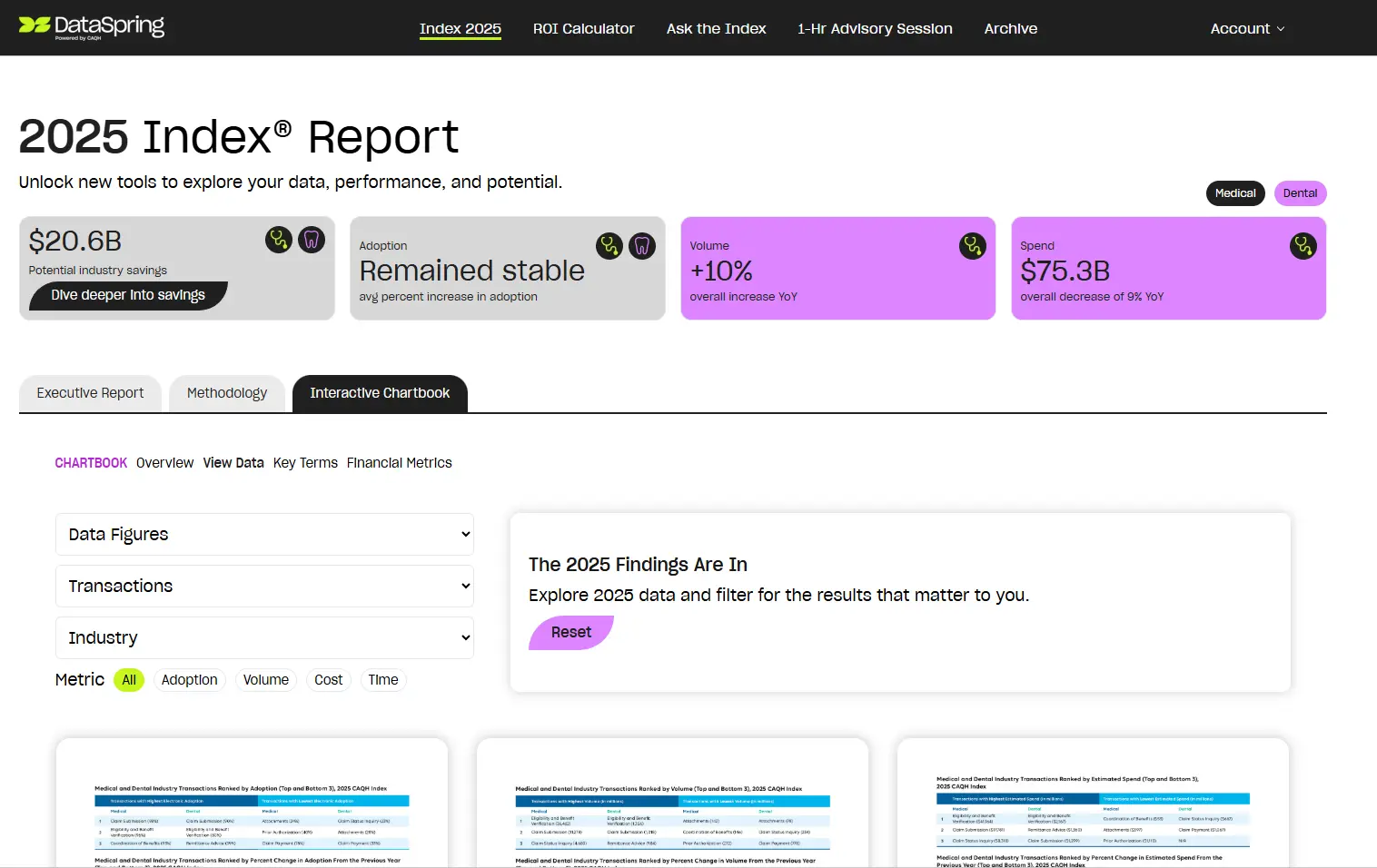 DataSpring Index interactive chartbook dashboard